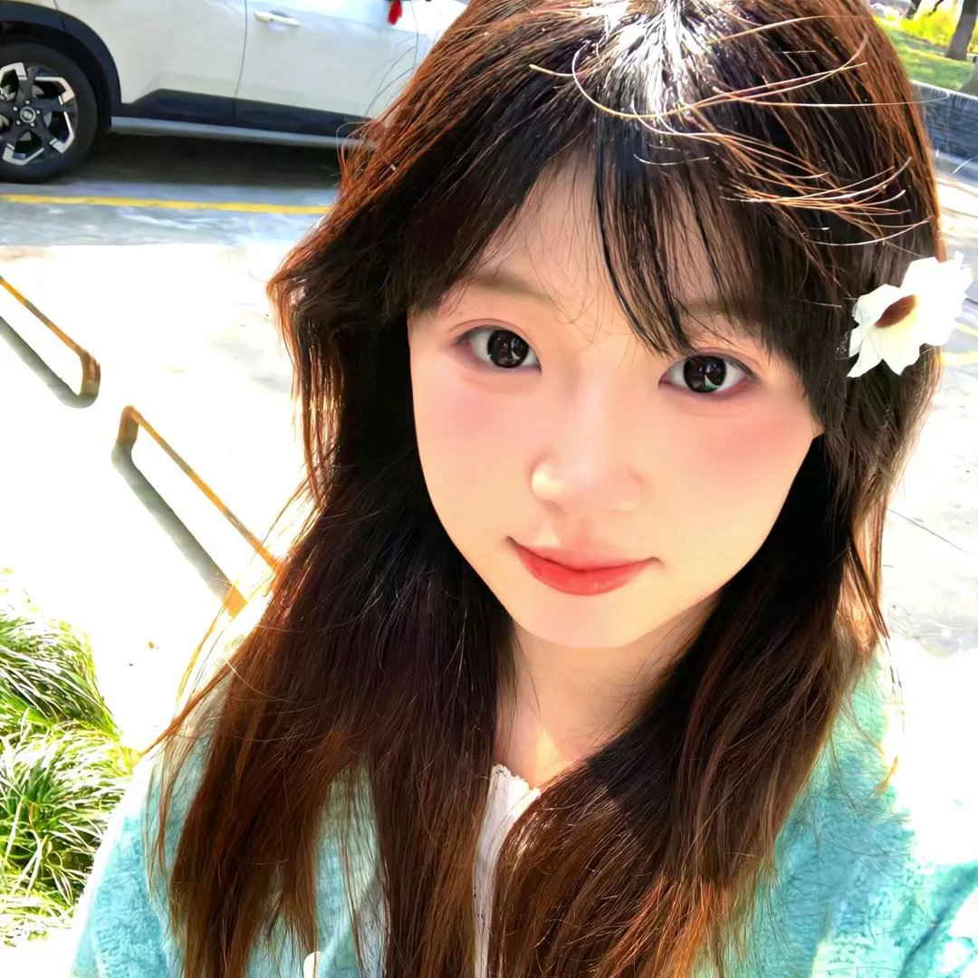 红楼春怨
