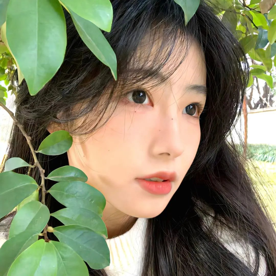 飞马俏姑娘